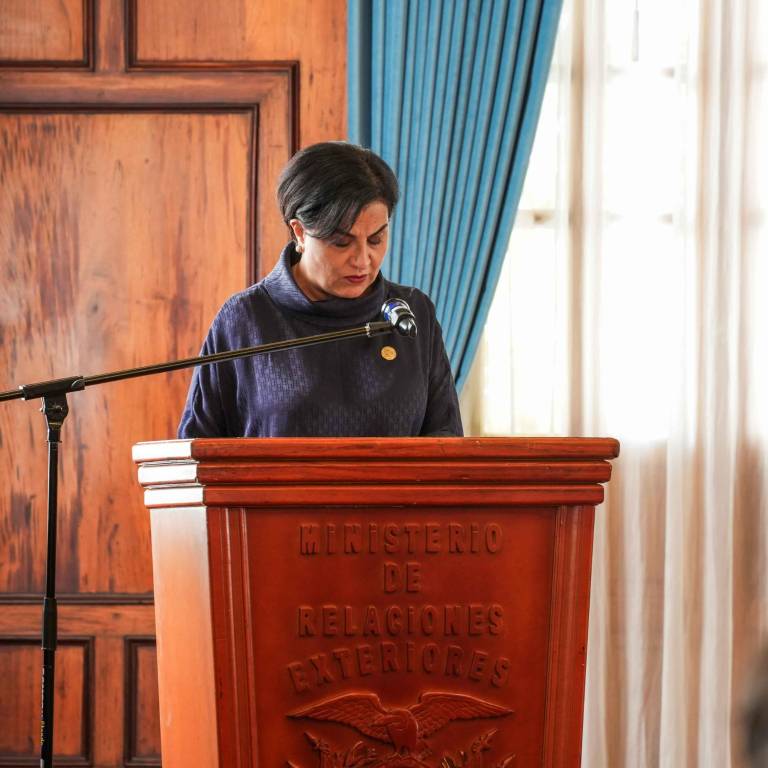 $!Fotografía de Sommerfeld interviniendo en el encuentro.