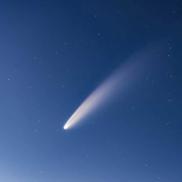 $!Su composición rica en hielo y carbono ofrece pistas sobre el origen del material interestelar.