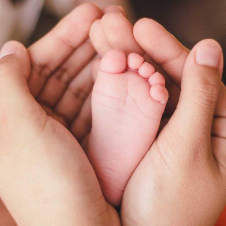 $!El caso dividió opiniones: algunos celebran la creatividad, otros critican la decisión.