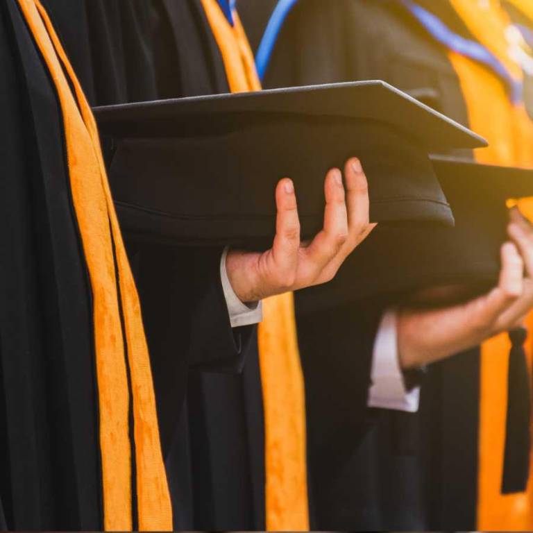 $!La plataforma permite consultar instituciones nacionales y extranjeras.