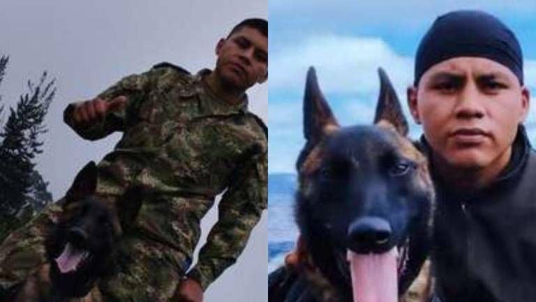 Él no ha querido salir del área: La inagotable búsqueda de un soldado por hallar con vida al perrito Wilson