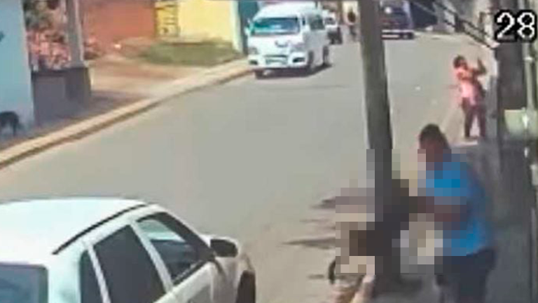 Hombre arroja a perro en aceite hirviendo en México