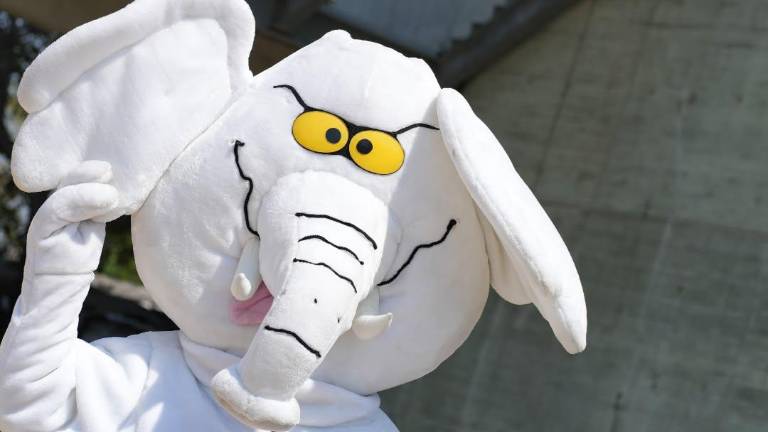 Fotografía del personaje Elefantico, que obtuvo un curul en el Senado de Colombia este lunes.