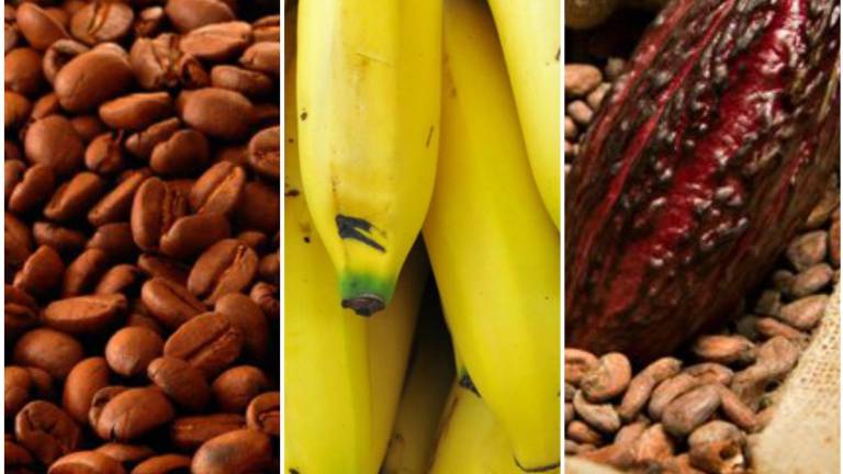 Estados Unidos retira el arancel del 15 % a 105 productos de origen ecuatoriano