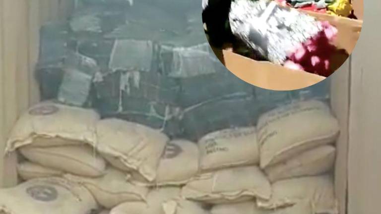 En medio de cacao y flores: Hallan droga que tenía como destino Países Bajos