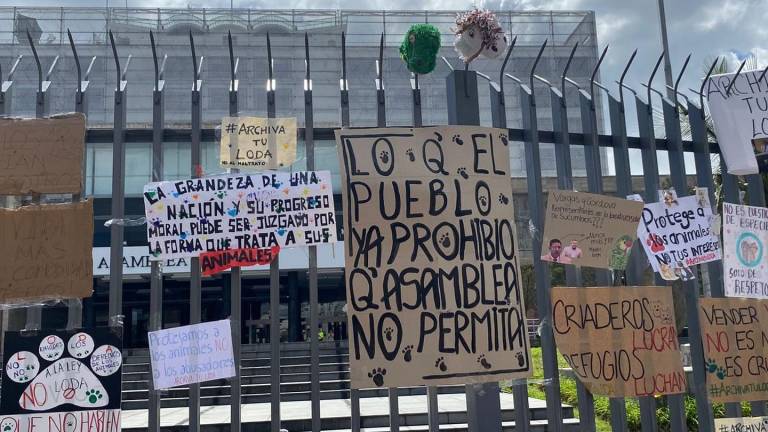 ¿Animales en Ecuador en peligro? Esto está pasando