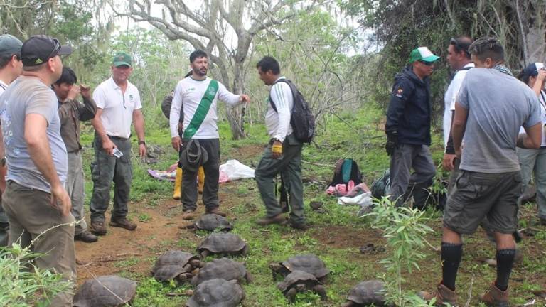 Tortugas gigantes regresan a su hábitat en Galápagos