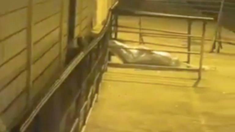 Reos de la cárcel de Machala abrieron la puerta y tiraron un cadáver embalado