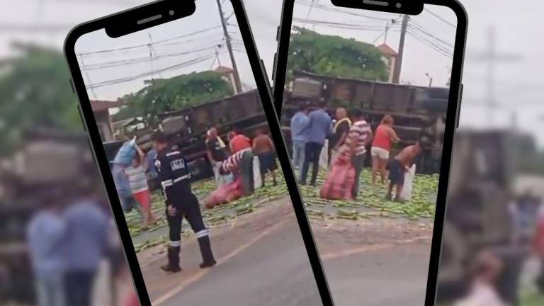 VIDEO: ciudadanos se llevan costales de plátanos tras volcarse un camión en Daule