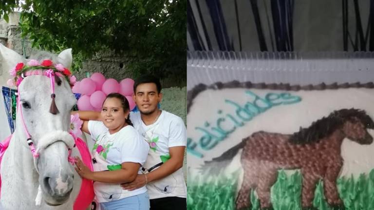 Camila, la yegua embarazada, a la que le festejaron el ‘baby shower’ en México