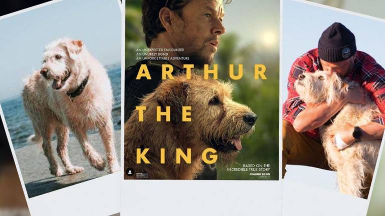'Arthur, el rey': película inspirada en perro ecuatoriano llegará a los cines en el 2024