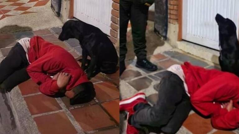 Un amigo fiel: perrito cuida a su dueño que se quedó dormido afuera de la casa