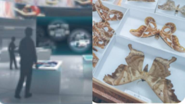 ¿Centro de Biodiversidad en el exedificio de la Unasur?