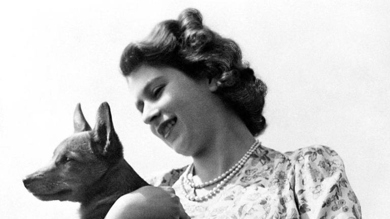 Los perros de raza corgi fue la favorita de la reina Isabel II, llegando a tener varios de ellos durante toda su vida.