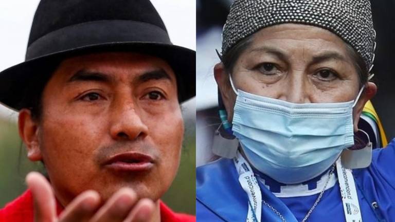 Indígenas de Ecuador felicitan a la líder mapuche del Constituyente de Chile