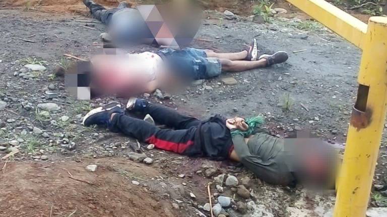 Hallan tres cadáveres maniatados y con heridas en el cuello en Puerto Quito, Pichincha