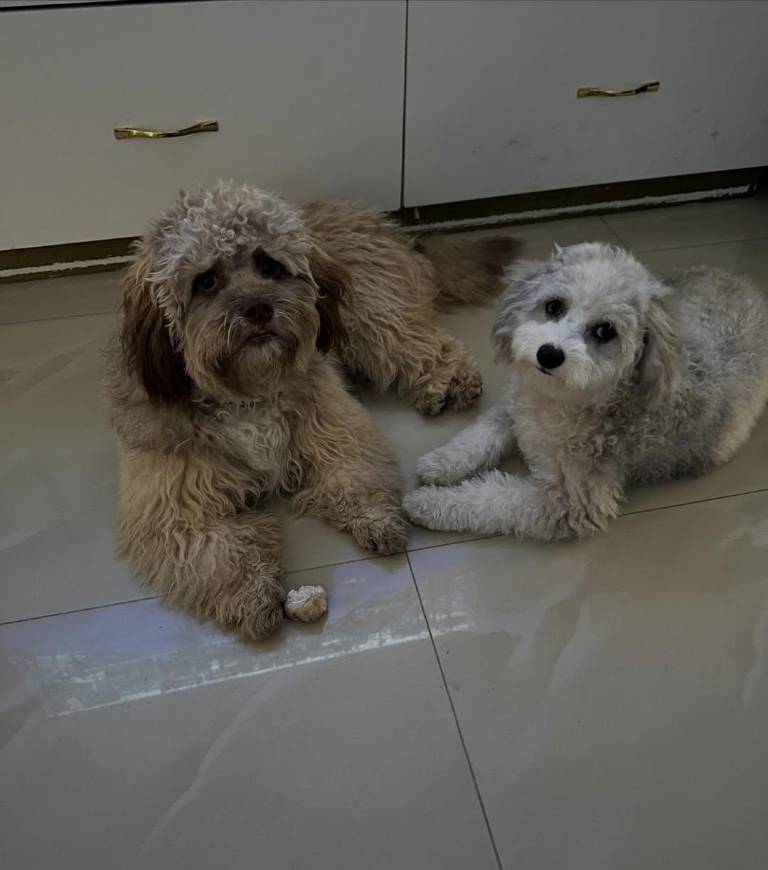 $!Imagen de Ron y Savannah.