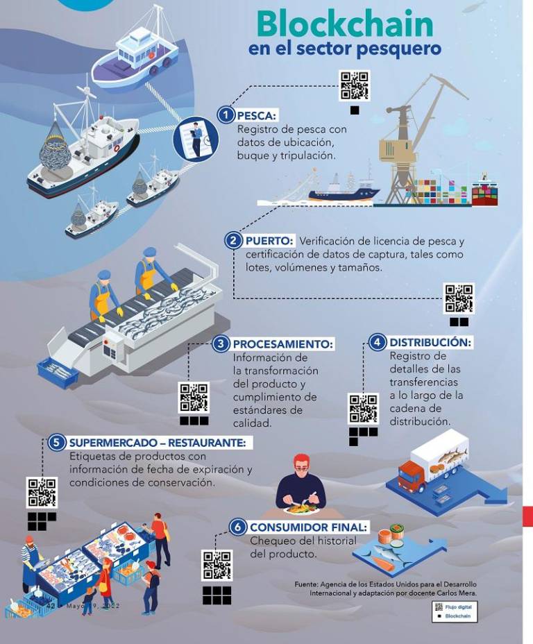 $!¿De qué manera el uso de blockchain podría transformar al sector pesquero?