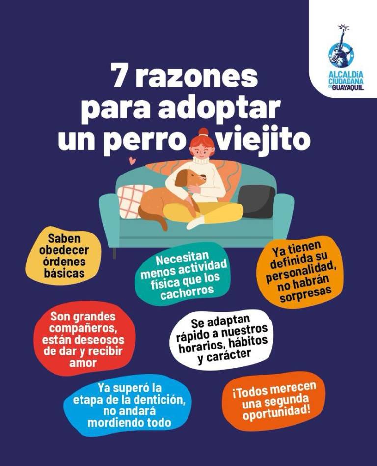 $!Perros viejitos que anhelan una familia podrán ser adoptados en el parque Samanes, este sábado 20 de enero