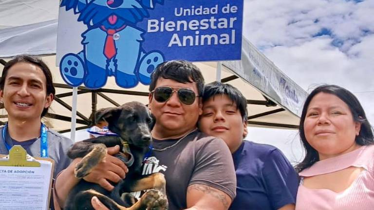 Perros y gatos en adopción durante la Feria del Libro en Quito: lo que debes saber