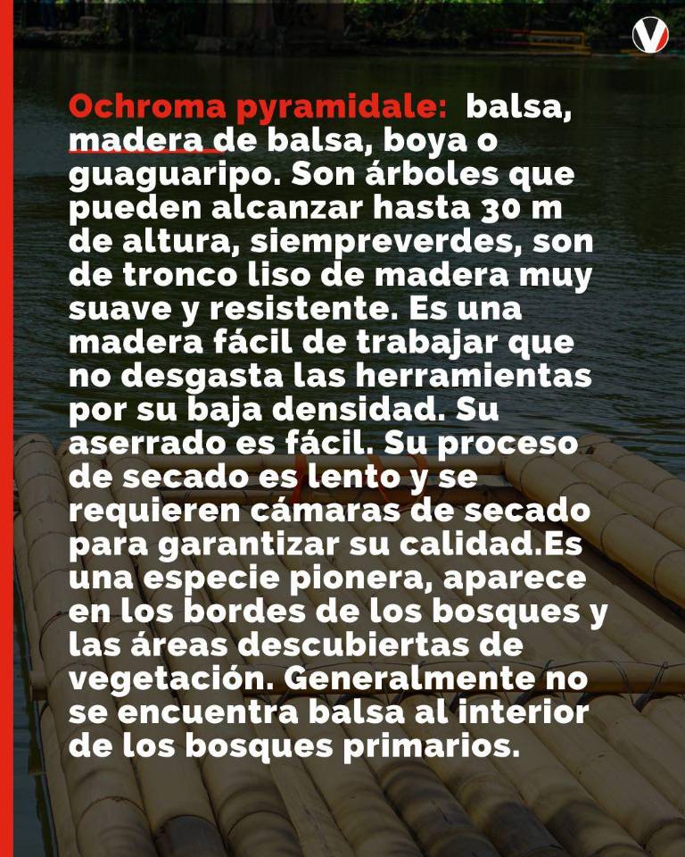 $!La energía eólica de China arrasa con la balsa ecuatoriana