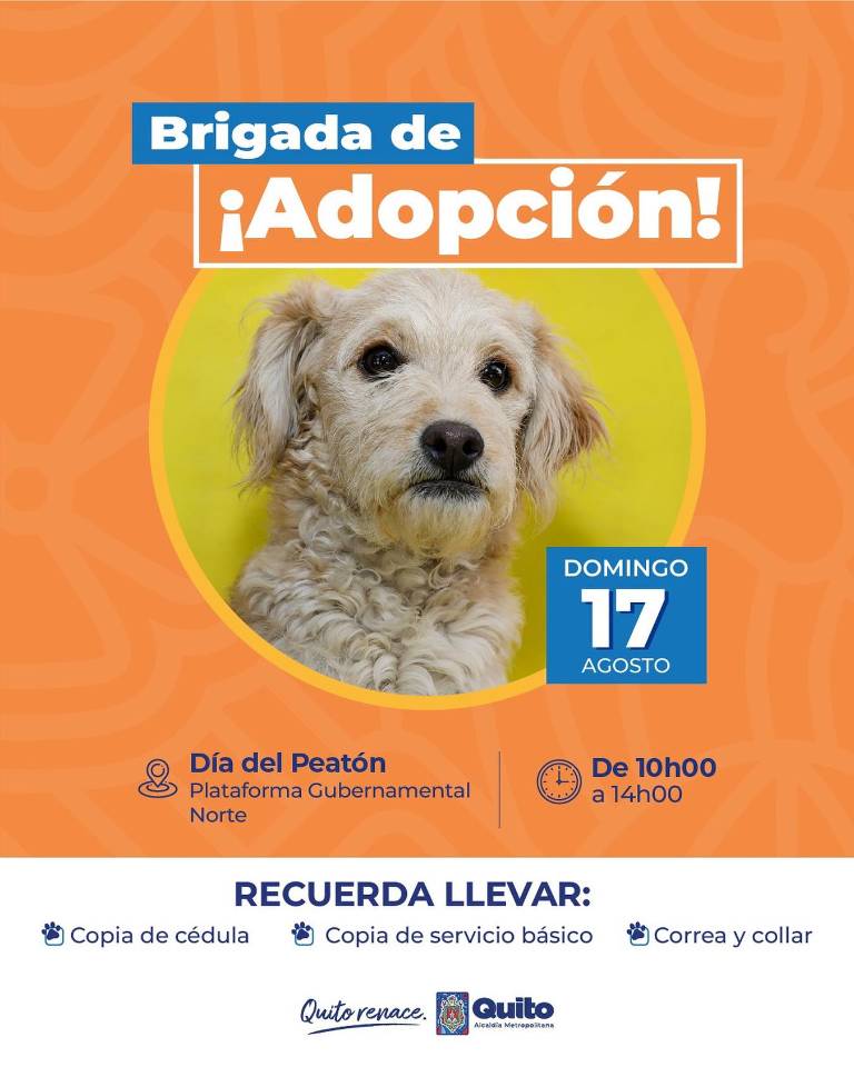 $!Flyer de la brigada de adopción que se dará el 17 de agosto.
