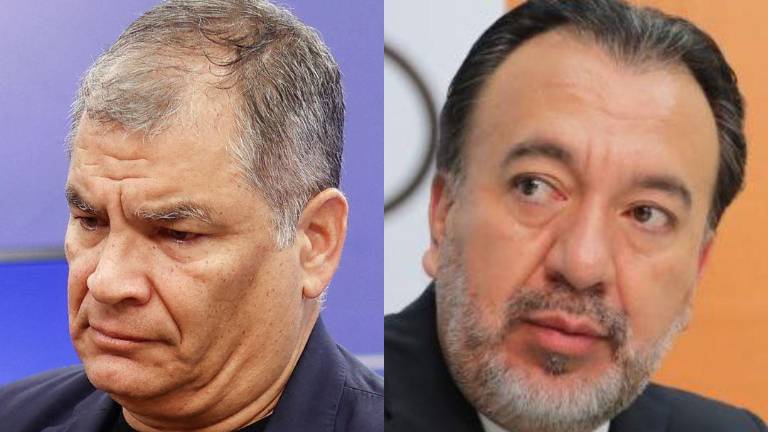 Rafael Correa sobre intención de Pabel Muñoz de buscar la reelección: 'Me opondré a cualquier candidato tibio'