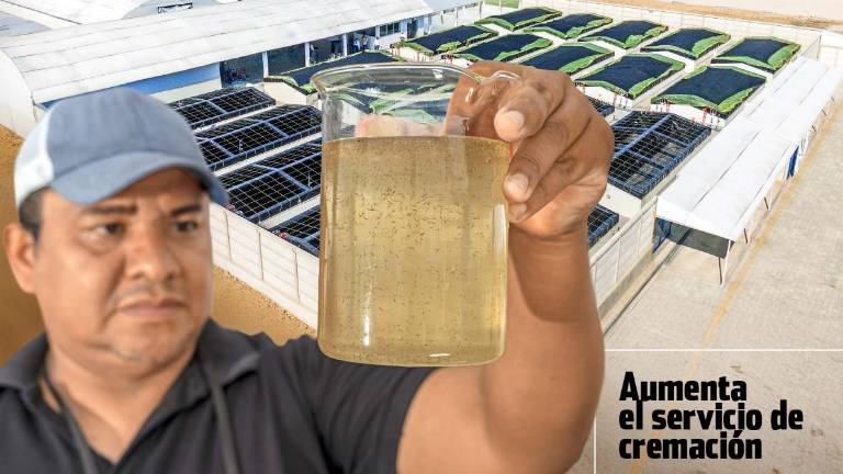 Revista Enfoque Edición 77- 2025