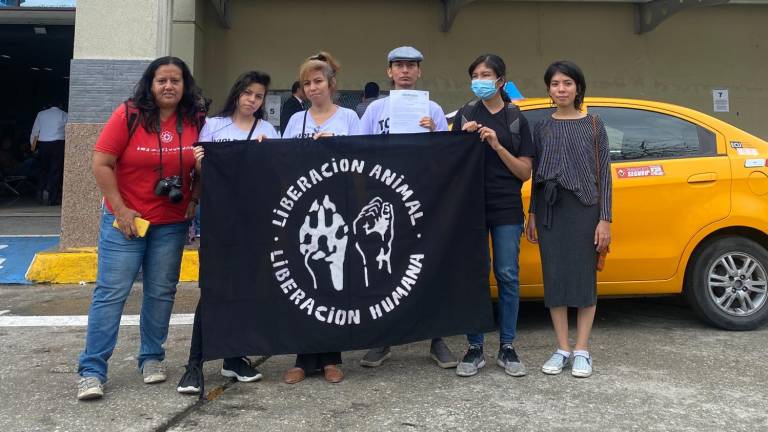 Activistas consiguen primer habeas corpus para animales silvestres, exóticos y de consumo en Ecuador