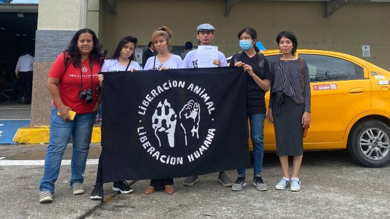 Activistas consiguen primer habeas corpus para animales silvestres, exóticos y de consumo en Ecuador
