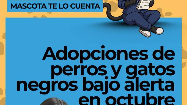 VIDEO | ¿Por qué alertan sobre perros y gatos negros y blancos?