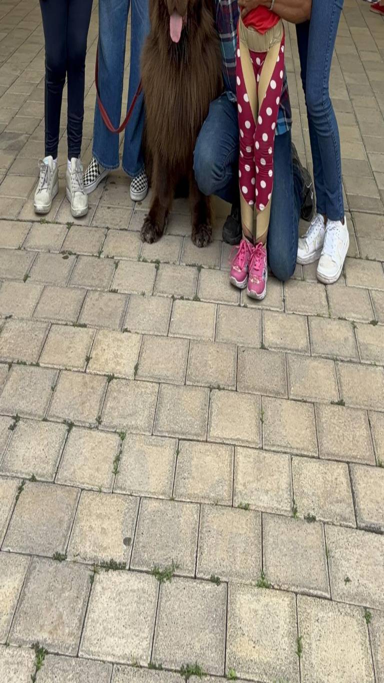 $!Parque de la Paz: 'Espacio de Vida', la esencia que transforma su conexión con las personas ​​​