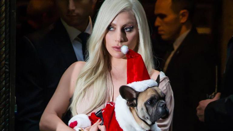 Condenan a cuatro años de cárcel a secuestrador de los perros de Lady Gaga