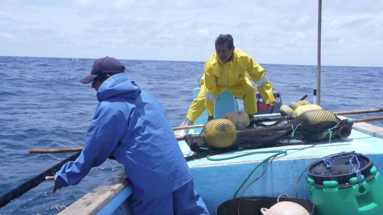‘Cuidando Galápagos’, iniciativa pesquera para la conservación integral