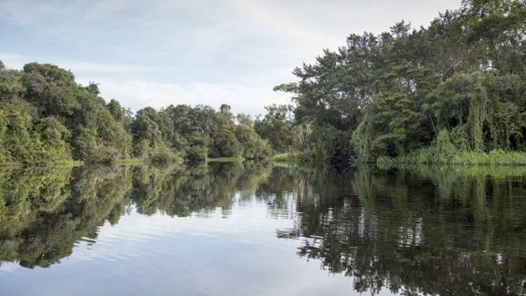 Proteger el 30% de naturaleza generaría grandes beneficios económicos
