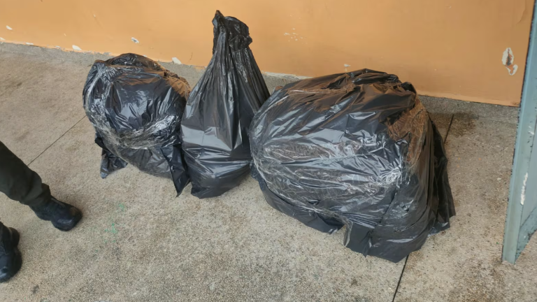 Descubren cerca de 1.400 restos óseos en una institución educativa del sur de Quito