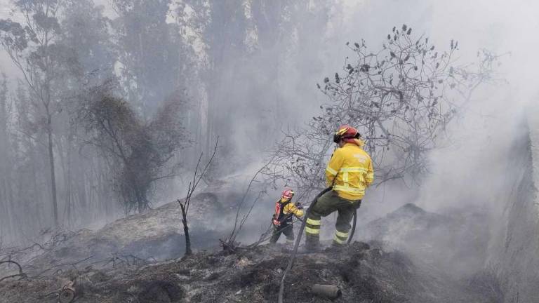 Doce incendios forestales activos afectan a cinco provincias de la Sierra