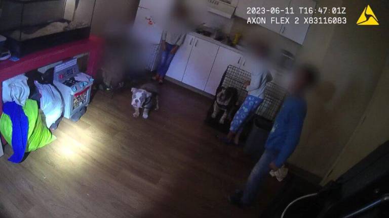 Video muestra a niños encerrados en jaulas dentro de una hogar siendo rescatados por la Policía de Las Vegas