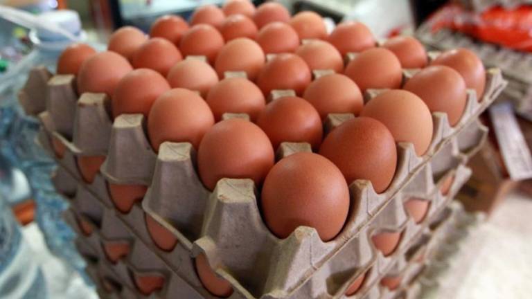 ¿En cuánto compra la cubeta de huevos? Reportan incremento del 20% por gripe aviar