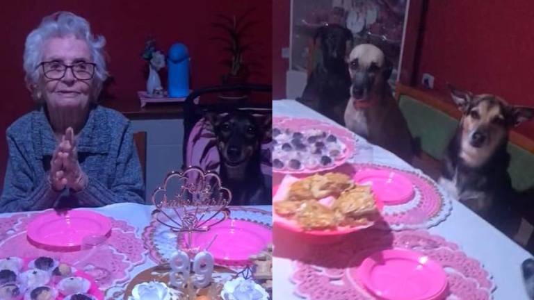 Abuelita celebró sus 89 años junto a sus 10 perros