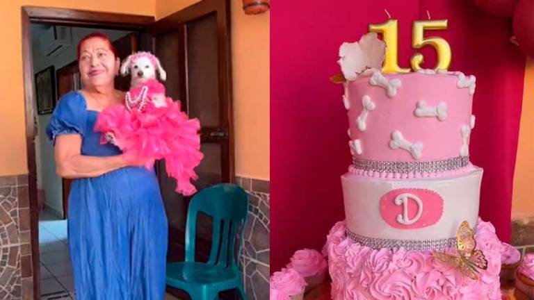 Familia mexicana organiza una quinceañera a su perrita, y el video se vuelve viral