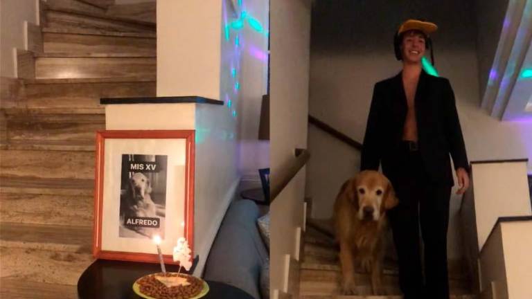 Perro realiza conmovedora entrada a su fiesta de quince años y se vuelve viral