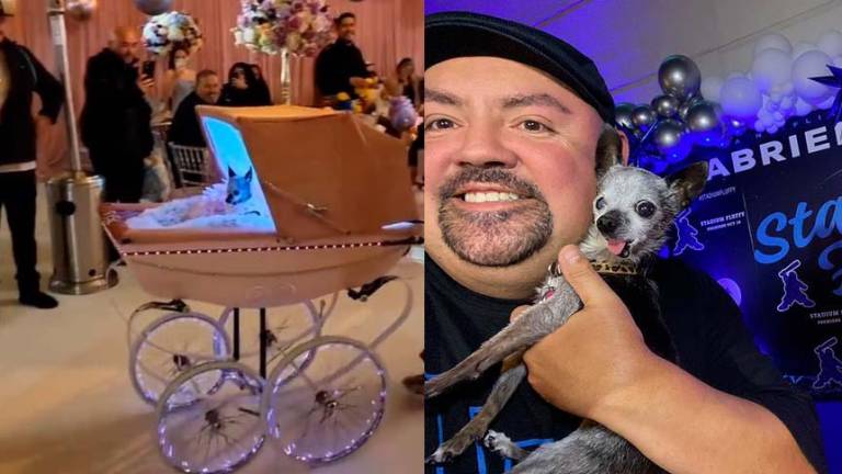 Comediante estadounidense invierte 100 mil dólares en una quinceañera para su chihuahua