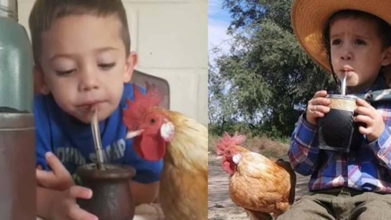 La conmovedora amistad entre un gallo y un niño que ha cautivado en redes sociales