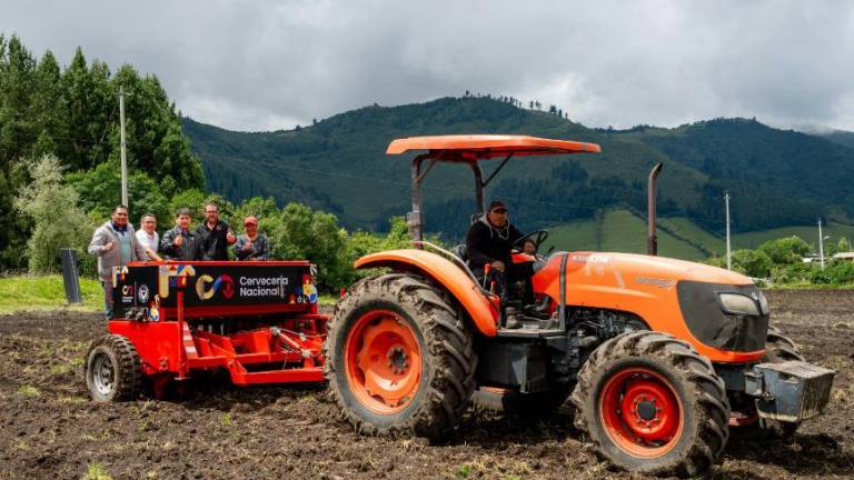 Con maquinaria, buenas prácticas agrícolas y semillas de calidad se fomenta la producción de cebada maltera en el Ecuador.