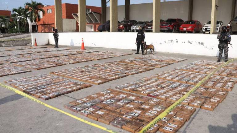 Alrededor de tres toneladas de cocaína escondidas en un contenedor de banano de exportación fueron incautadas