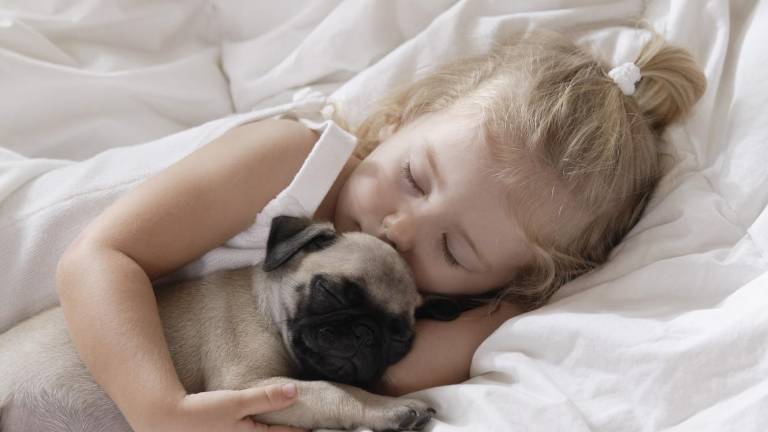 ¿Por qué dormir con mascotas puede ayudar a mejorar la calidad del sueño?
