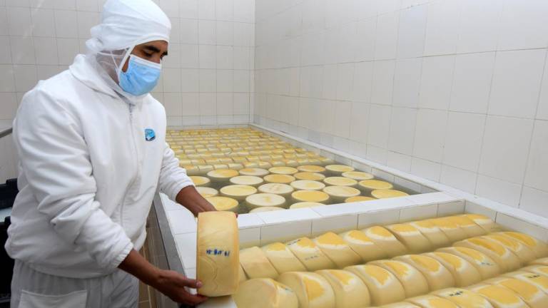 La planta de Alpina en San Gabriel, en la provincia del Carchi, produce más de un millón de quesos al mes bajo la marca KiosKo.