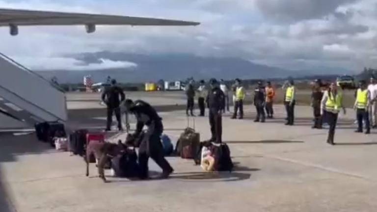 VIDEO: Policía descarta bomba tras amenaza a un vuelo procedente de Ámsterdam