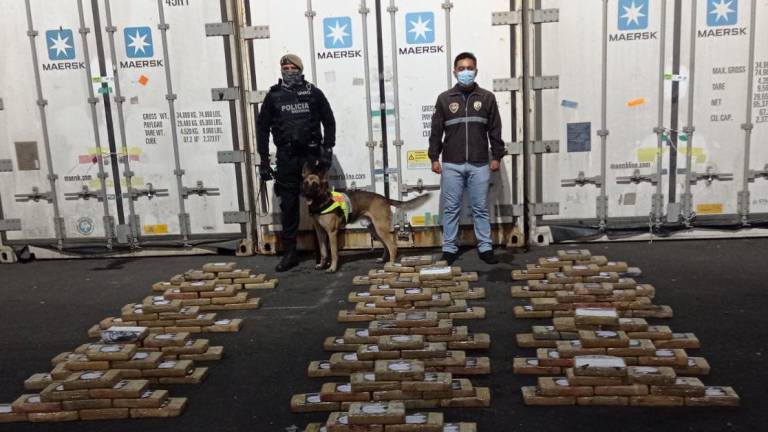 El cargamento contaminado con bloques de cocaína fue detectado por un perro antidrogas.